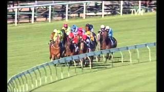 2008 Turnbull Stakes  Littorio [upl. by Bihas206]