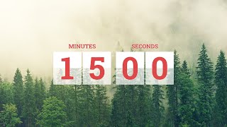 15Minute Timer Countdown with soothing clock ticking sound for Productivity 🕒⏲️ [upl. by Douglass33]