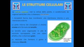 Test Medicina 2022 Biologia  La cellula come base della vita [upl. by Hallee471]