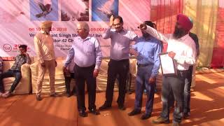 pigeon watch chandigarh breed show [upl. by Anit799]