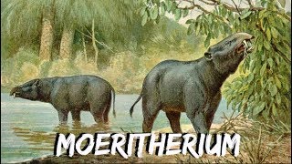 Moeritherium  Documentary [upl. by Jedediah682]