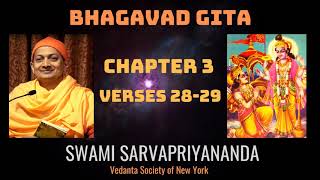 35 Bhagavad Gita l Chapter 3 Verses 2829 l Swami Sarvapriyananda [upl. by Kcinom602]