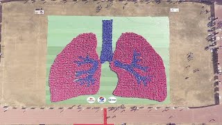 Indian accomplished World Record of largest image of lung by 5000 students [upl. by Kerrie311]