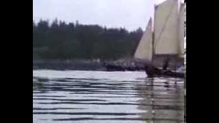 Gräsö runt 2011wmv [upl. by Llertniuq]