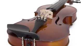 Cecilio CVN300 Violin Product Demo [upl. by Anne-Corinne]