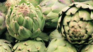 Artichoke 101 [upl. by Gazzo696]