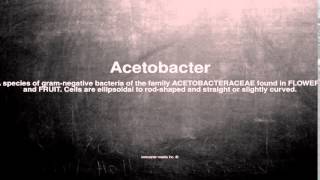 Medical vocabulary What does Acetobacter mean [upl. by Jordon187]