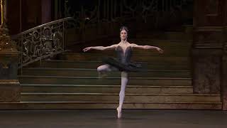 Coda Swan Lake ROH Marianela Nuñez fouettes [upl. by Bickart]