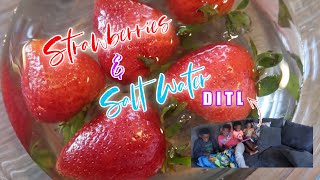 DITL  Strawberries in Salt Water [upl. by Katz]