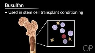 Conditioning Side Effects in Stem Cell Transplant by S Margossian  OPENPediatrics [upl. by Stillas]