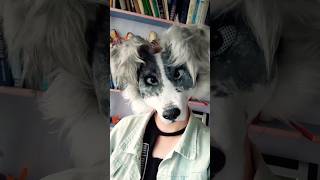 Border Collie masktutorial pt2 therian therianmask otherhearted otherkin dogtherian furry [upl. by Annamaria]