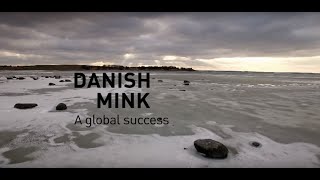 Kopenhagen Fur  Danish Mink Breeders  a global success [upl. by Raynold]