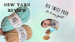 NEW YARN REVIEW Big Twist Posh at Joanns [upl. by Lhary53]