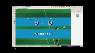 VIDEO TUTORIAL DE COMO DESCARGAR e instalar Todos los parches y copas de Garra Fútbol para ubutu [upl. by Sucramaj]