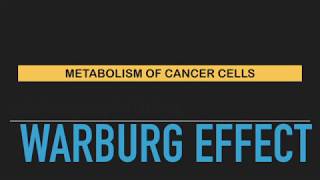 quotWarburg Effectquot  Metabolism of cancer Neoplasia [upl. by Colombi]