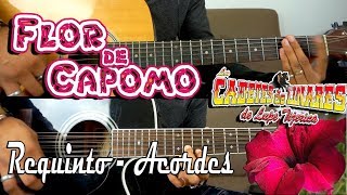 Tutorial  Flor de capomo  Los Cadetes de Linares  Requinto  Acordes  TABS [upl. by Grassi]