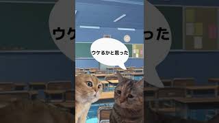 ムカついたら殴りましょう＃short＃猫ミーム＃ダンス [upl. by Epolenep]