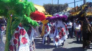 CARNAVAL 2014 MAZATECOCHCO [upl. by Ecirpak]