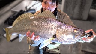 Sydney Jewfish  Live Bait  Landbased Wharf Fishing With Aka Mikes Fishing [upl. by Eillen]