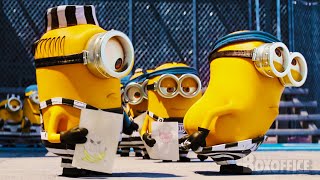 Despicable Me Funniest Scenes with Minions ⚡ 4K [upl. by Stoneman]