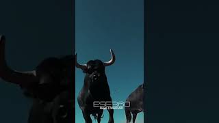 TOROS PASAN POR ENCIMA DE LA CÁMARA pov fyp inside [upl. by Alva]