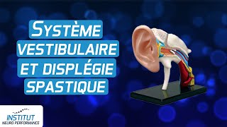 Système vestibulaire correction et dysplegie spastique [upl. by Baruch]