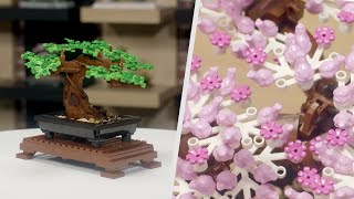 LEGO Bonsai Tree  LEGO Botanical Collection Designer Video  10281 [upl. by Clintock]