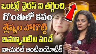 యాంటీబయాటిక్ జ్యూస్ ఉపయోగాలు  The BEST Natural Antibiotic Drink Dr Swathi  iDreamDoctor [upl. by Brawner]