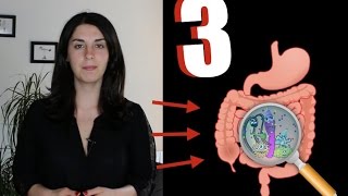 3 conseils pour fortifier votre Flore Intestinale [upl. by Lange]