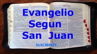 Evangelio Segun San Juan Completo Narrado [upl. by Neerihs282]