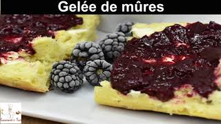 Gelée de mûres  recette de la vrai gelée de mûres [upl. by Eirameinna917]