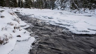 Strömmande vatten [upl. by Nahtanoj]