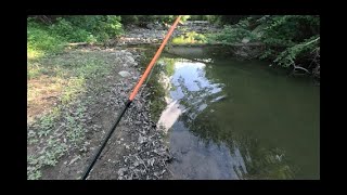 Pond and creek fishing [upl. by Marlin]