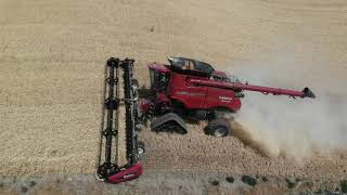 JTI Case IH 9250 Hillside Tracked Combine [upl. by Nibla48]