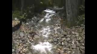 Cedar Creek Fish Passage Restoration [upl. by Anthiathia]