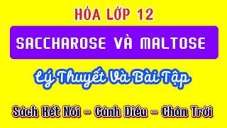 Hóa Lớp 12  SACCHAROSE VÀ MALTOSE Sách Kết Nối  Cánh Diều  Chân Trời [upl. by Bradman]