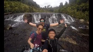 WAIRERE FALLS  Longest Waterfall on the North Island of New Zealand [upl. by Esilahc]