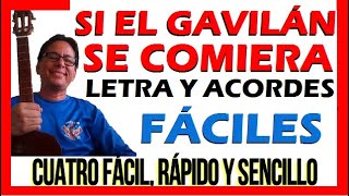 EL GAVILÁN Ángel Custodio Loyola Letra y Acordes para Principiantes CUATRO FÁCIL RÁPIDO Y SENCILLO [upl. by Assek]