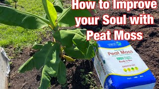 How to Improve your Soil with Organic Peat Moss  the home gardening channel [upl. by Eyt]