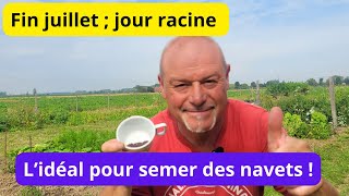 Encore un légume pour l automne  pensez a semer vos NAVETS [upl. by Ania]