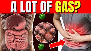 WHAT CAUSES EXCESSIVE GAS HOW TO GET RID OF GAS AND ABDOMINAL BLOATING FLATULENCE [upl. by Hajed]