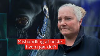 Hvem skærer i Pernille og Majas hest 1 [upl. by Tad]