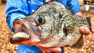 A Bobber amp Live Minnow Setup That Crappie Cant Resist [upl. by Lebisor]