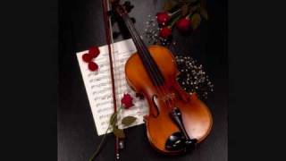 Suzuki Violin libro 804 Allegro JS Bach [upl. by Cassy605]