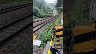 Kyoto Bamboo Forest Train Crossing [upl. by Sanchez677]