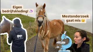 Eindelijk mijn eigen bedrijfskleding 🦄🐴🎉 [upl. by Eeima]