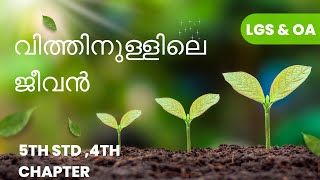 വിത്തിനുള്ളിലെ ജീവൻ 🌱 5th std സയൻസ് പാഠം📚 [upl. by Nnaer]