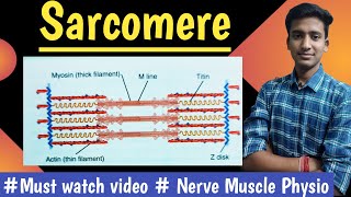 Sarcomere Actin and Myosin Nerve Muscle Physiology  hindi  Ashish [upl. by Miranda]