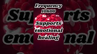 10600 Hz  🌊 Supports emotional healing💗Encourages forgiveness and compassion motivation frequency [upl. by Euk]