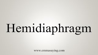 How To Say Hemidiaphragm [upl. by Adnirod]